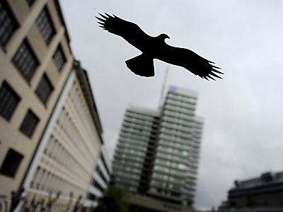 Fensterflächen für Vögel kenntlich machen