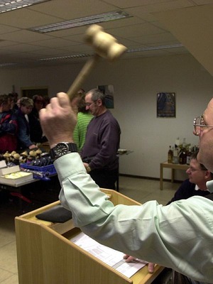 Bei Zwangsversteigerung nicht unvorbereitet mitbieten