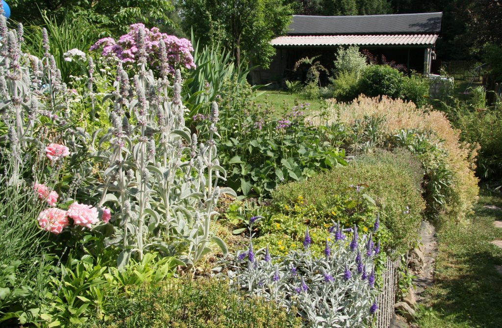 Senkgarten Steingarten