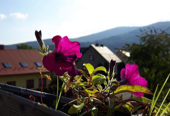 balkon mit aussicht