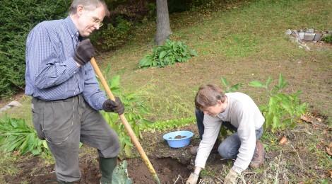 gartenarbeit senioren