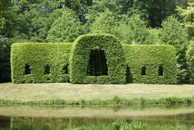 kunstvolle hecke