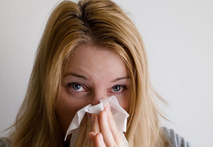 luftreiniger allergiker