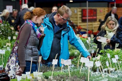 messe offenburg bauen wohnen garten